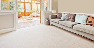 Check Quality of Carpet