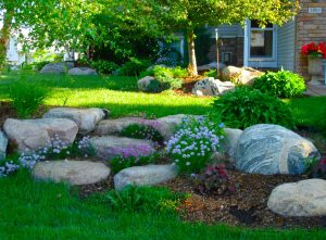 S&T Landscaping